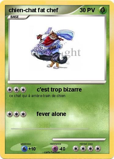 Pokemon chien-chat fat chef