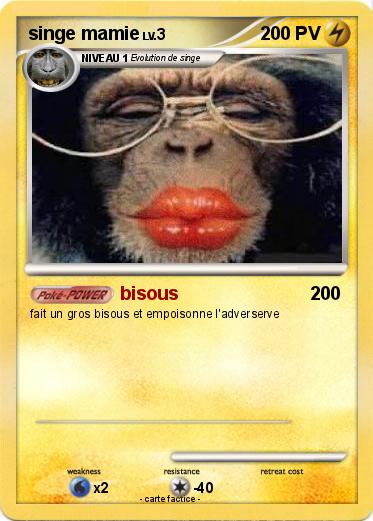 Pokemon singe mamie