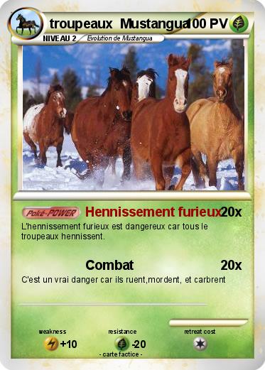 Pokemon troupeaux  Mustangua