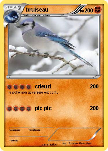 Pokemon bruiseau