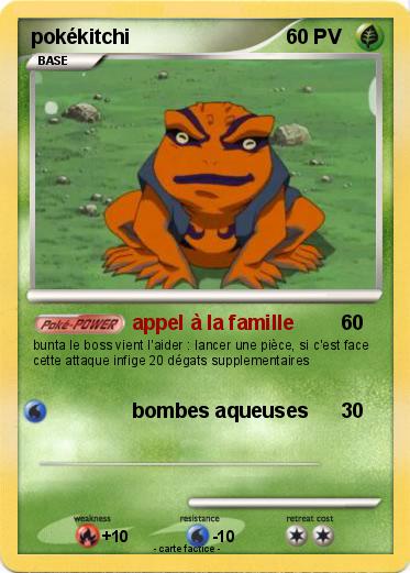 Pokemon pokékitchi
