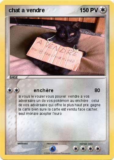 Pokemon chat a vendre