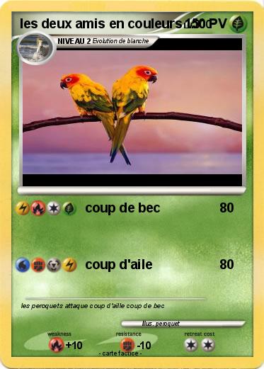 Pokemon les deux amis en couleurs