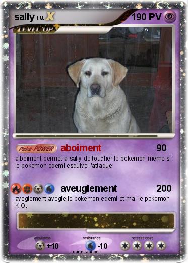 Pokemon sally