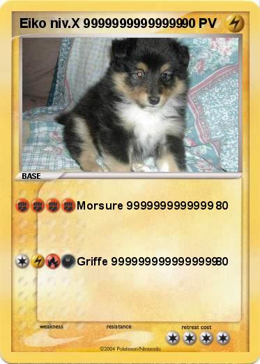 Pokemon Eiko niv.X 99999999999999