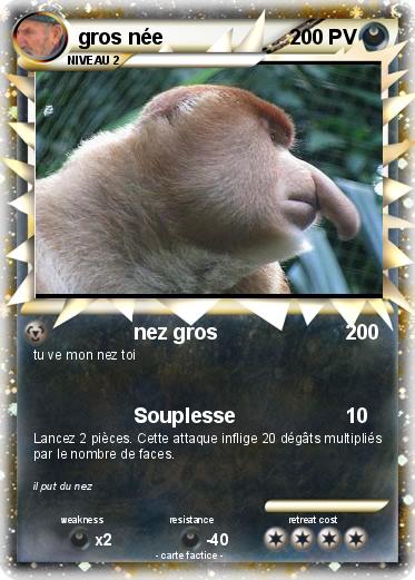 Pokemon gros née