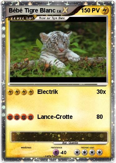 Pokemon Bébé Tigre Blanc