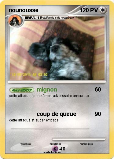 Pokemon nounousse