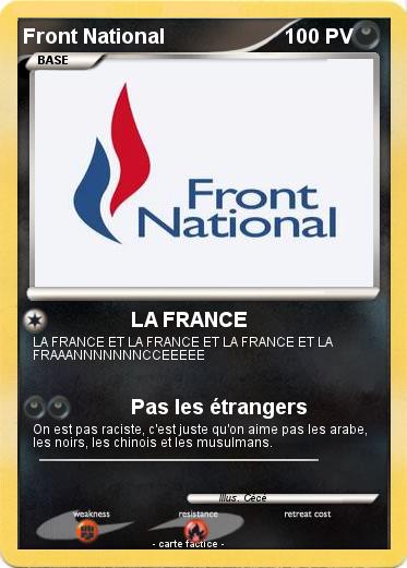 Pokemon Front National
