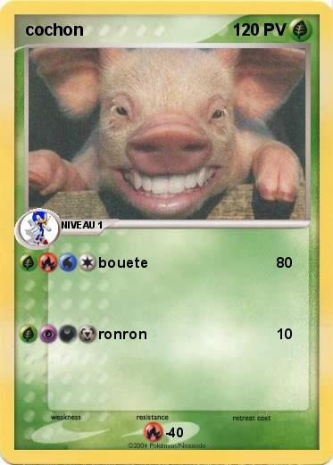 Pokemon cochon