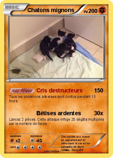Pokemon Chatons mignons