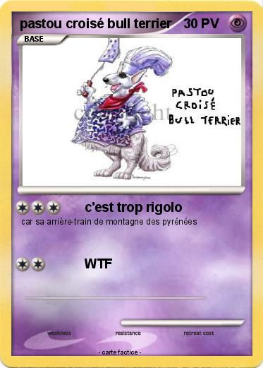 Pokemon pastou croisé bull terrier