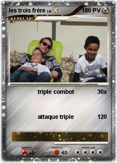 Pokemon les trois frère