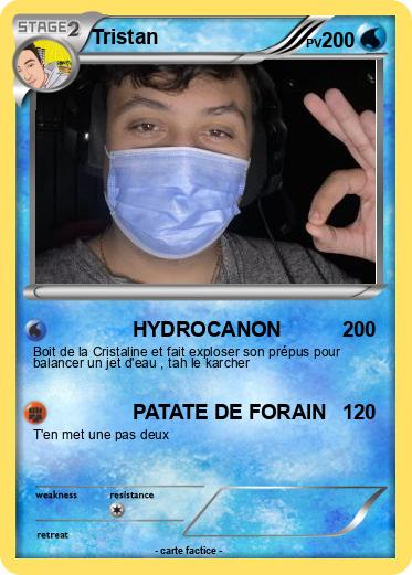 Pokemon Tristan