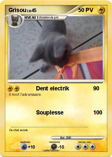 Pokemon Grisou