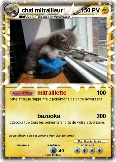 Pokemon chat mitrailleur