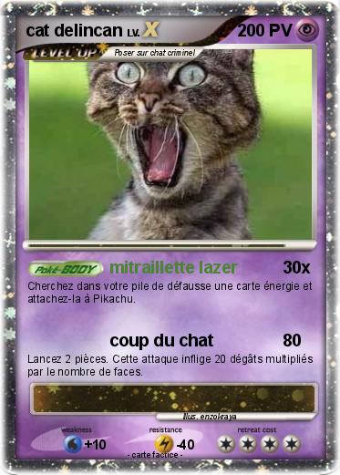 Pokemon cat delincan