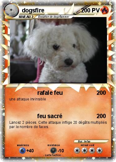 Pokemon dogsfire