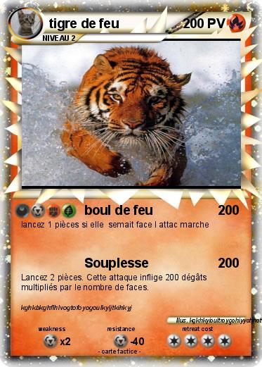 Pokemon tigre de feu