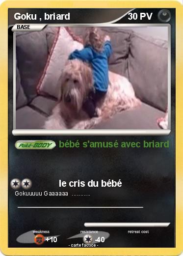 Pokemon Goku , briard