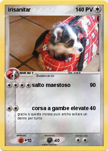 Pokemon irisanitar