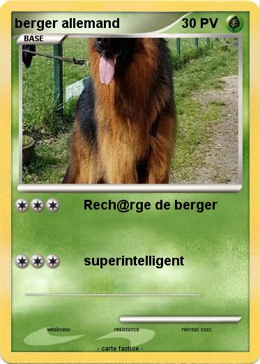 Pokemon berger allemand