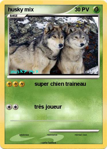 Pokemon husky mix