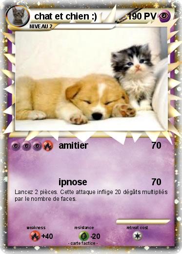 Pokemon chat et chien :)