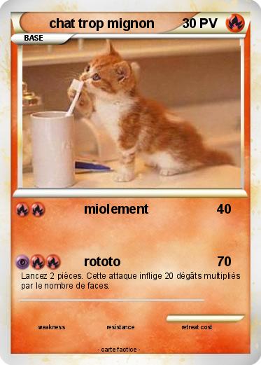 Pokemon chat trop mignon