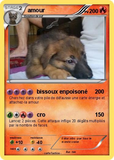 Pokemon amour