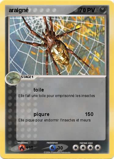 Pokemon araigné