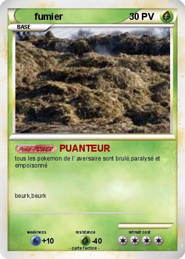 Pokemon fumier