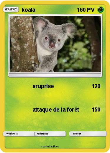 Pokemon koala