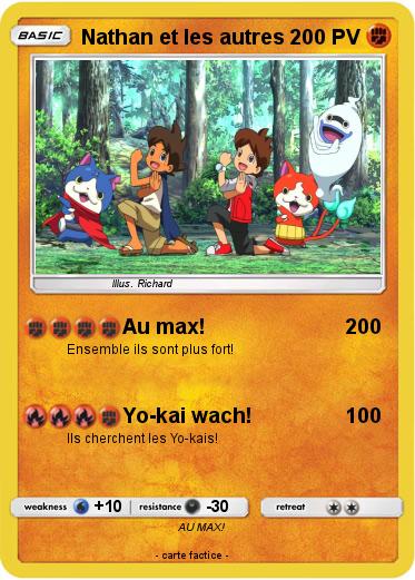 Pokemon Nathan et les autres