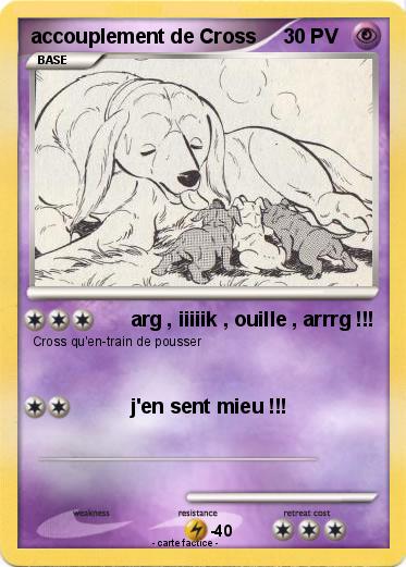 Pokemon accouplement de Cross