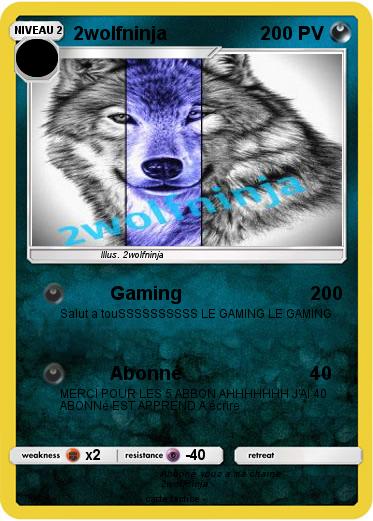 Pokemon 2wolfninja