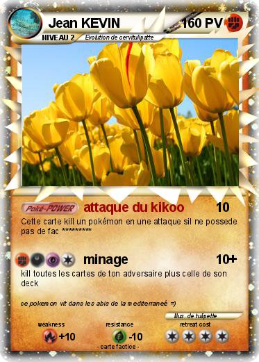 Pokemon Jean KEVIN