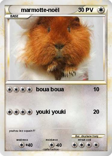 Pokemon marmotte-noël