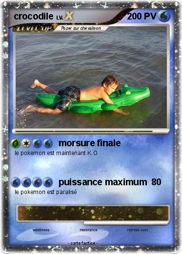 Pokemon crocodile