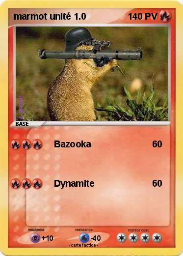 Pokemon marmot unité 1.0