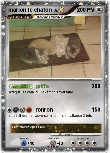 Pokemon marion le chaton