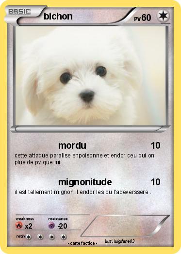 Pokemon bichon