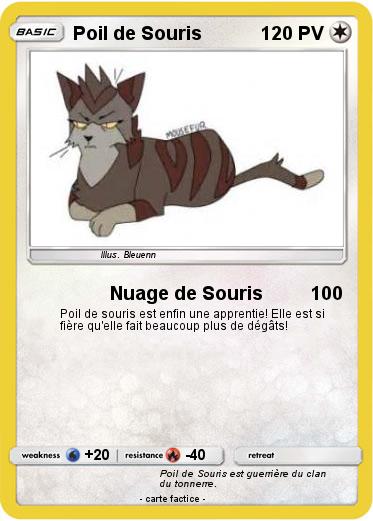 Pokemon Poil de Souris