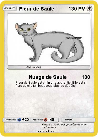 Pokemon Fleur de Saule