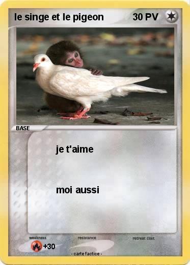 Pokemon le singe et le pigeon