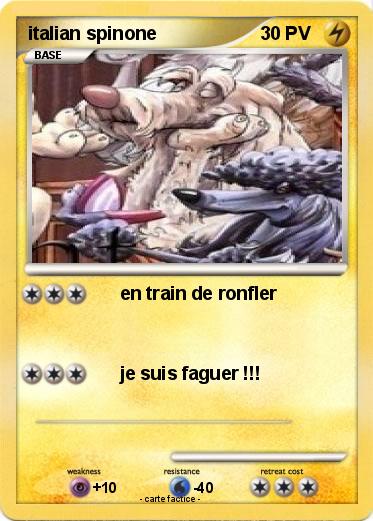 Pokemon italian spinone