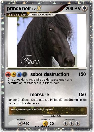 Pokemon prince noir