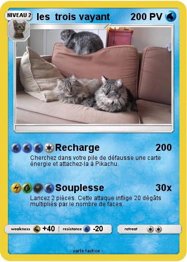 Pokemon les  trois vayant