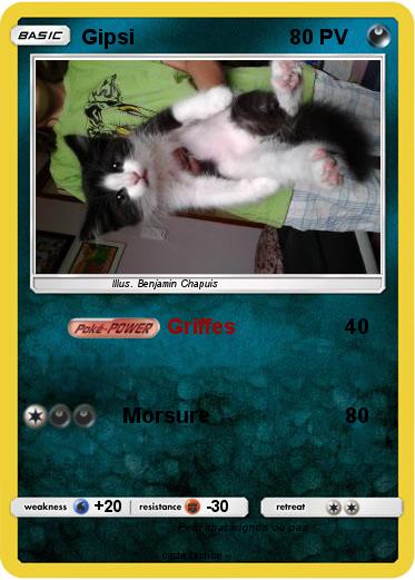 Pokemon Gipsi