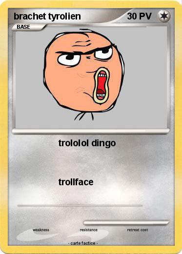 Pokemon brachet tyrolien